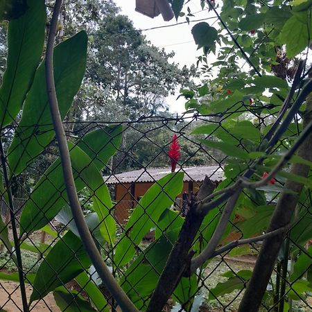 Sitio Das Bromelias Cachoeira Do Tombador Убатуба Екстер'єр фото