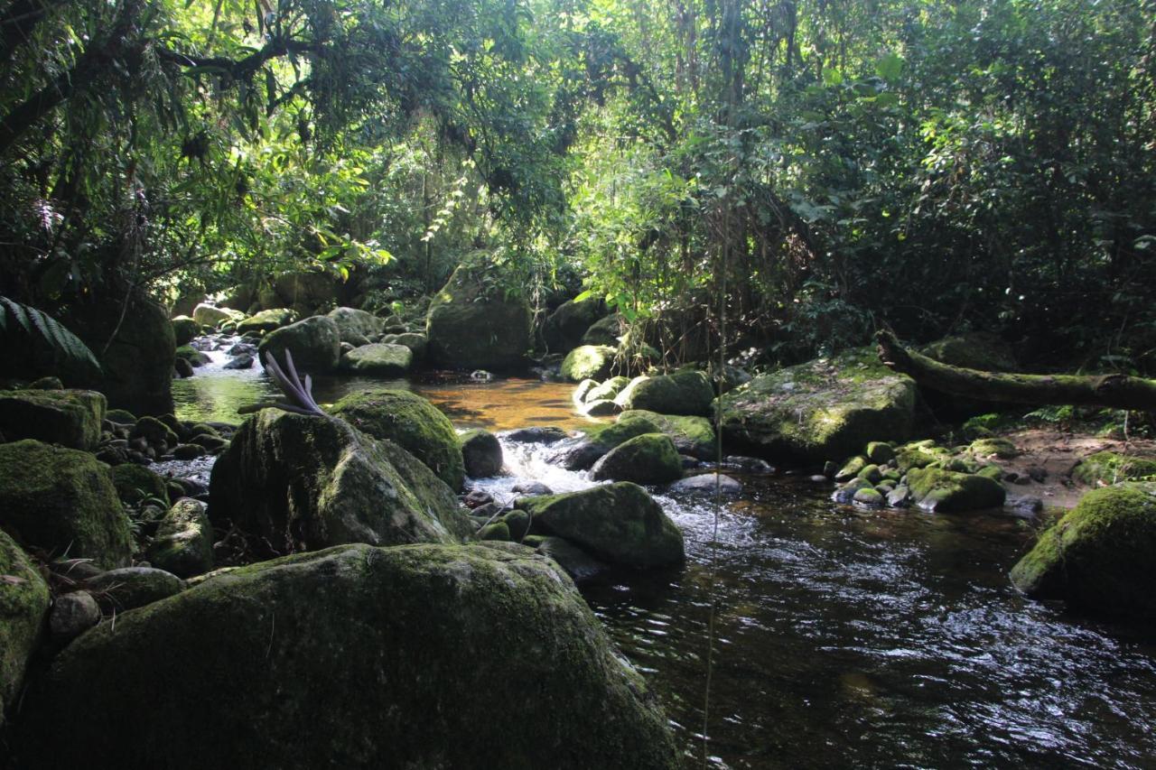 Sitio Das Bromelias Cachoeira Do Tombador Убатуба Екстер'єр фото