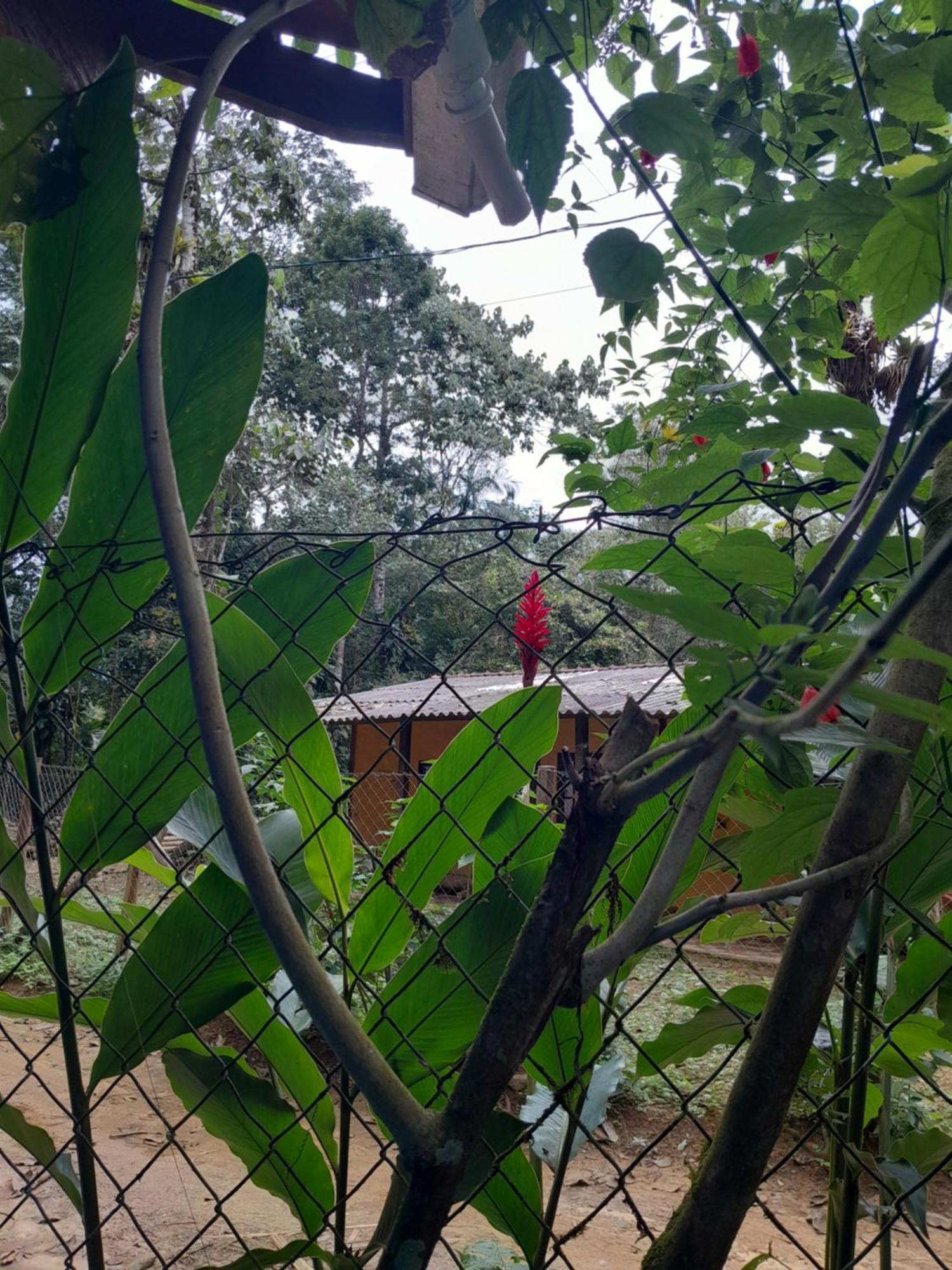 Sitio Das Bromelias Cachoeira Do Tombador Убатуба Екстер'єр фото